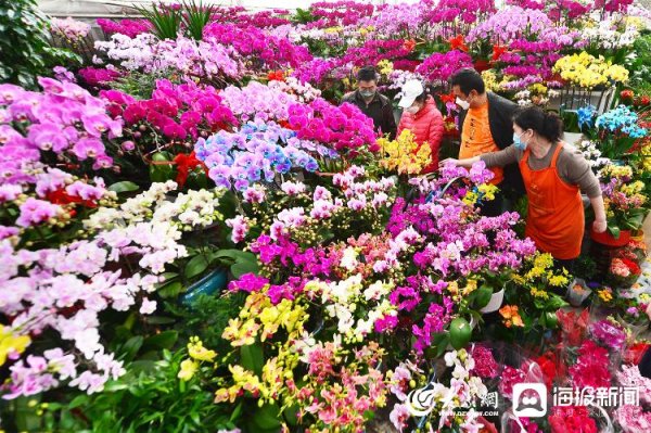 富灯网  视觉山东丨大众视觉影像库一周图片精选（1月2日-1月8日）