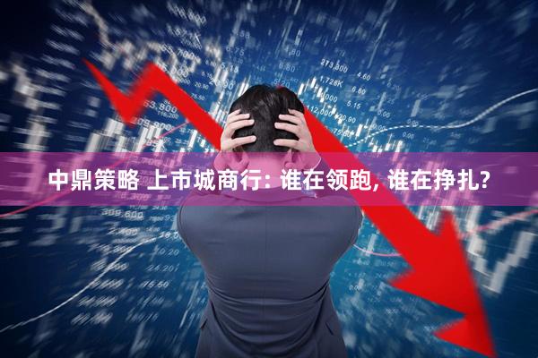 中鼎策略 上市城商行: 谁在领跑, 谁在挣扎?