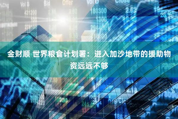 金财顺 世界粮食计划署：进入加沙地带的援助物资远远不够