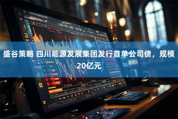 盛谷策略 四川能源发展集团发行首单公司债，规模20亿元