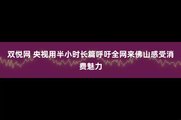 双悦网 央视用半小时长篇呼吁全网来佛山感受消费魅力